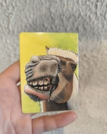 Une haleine de poney