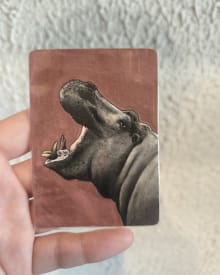 Potam mal réveillé