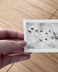 Birds in Flight
