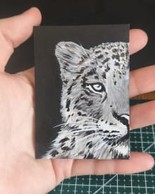 Half snow leopard