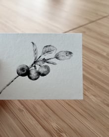Blueberry Branch