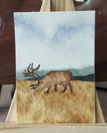 Moose Watercolor painting