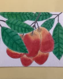 Mangoes