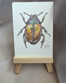 "Little Scarab"