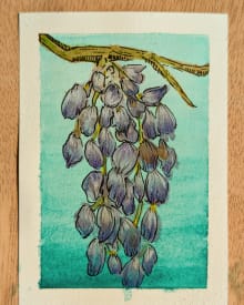 Wisteria at the close