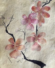 Cherry blossoms in himachal Paradesh