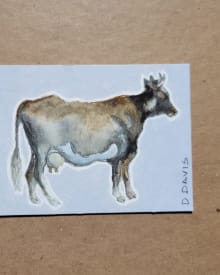 Cow