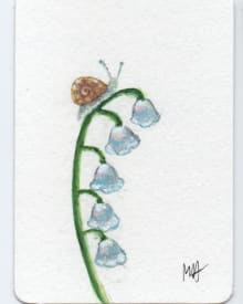 Snail on flower