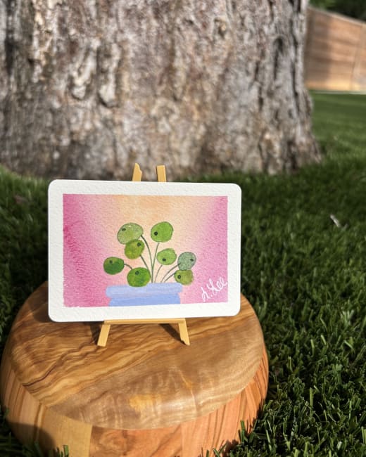 Pilea