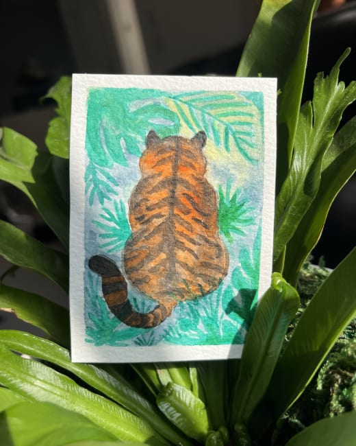 In Another Life: Jungle Tiger