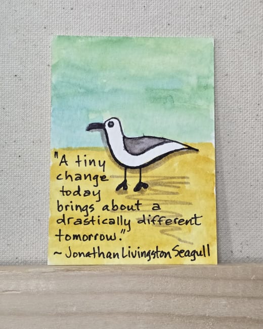 Seagull Words of Wisdom