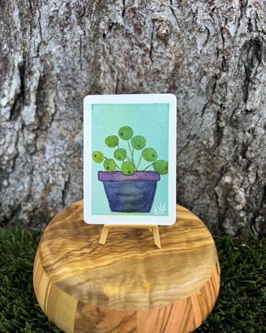 Pilea