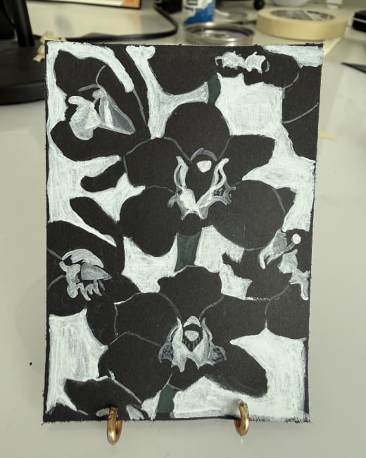 Black Orchids