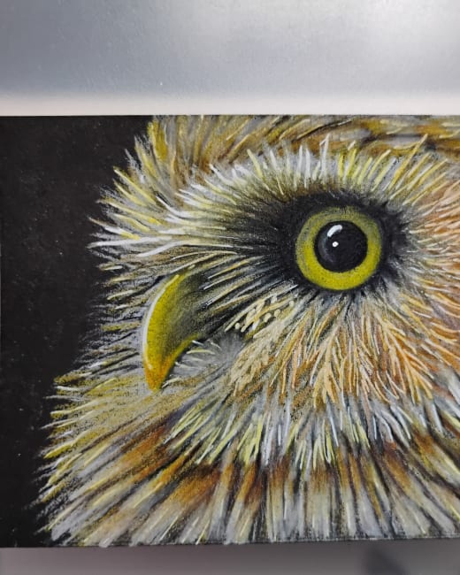 The eye of the owl