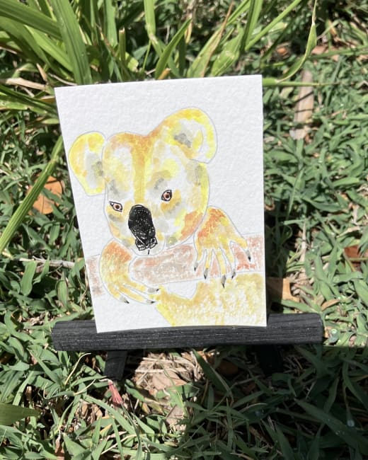 Koala