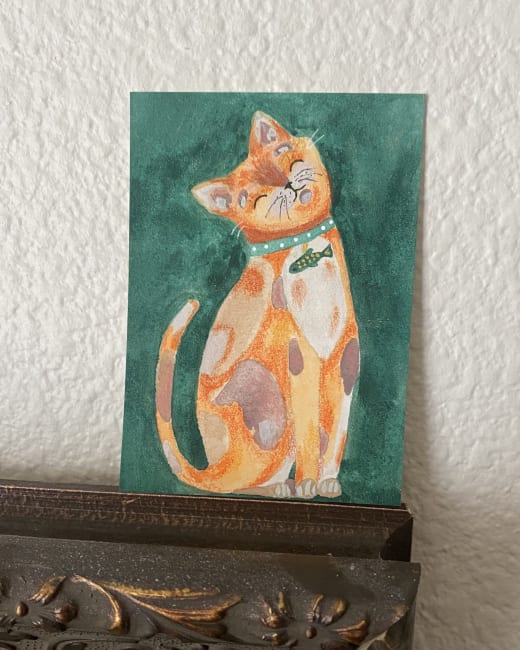 Calico Cat