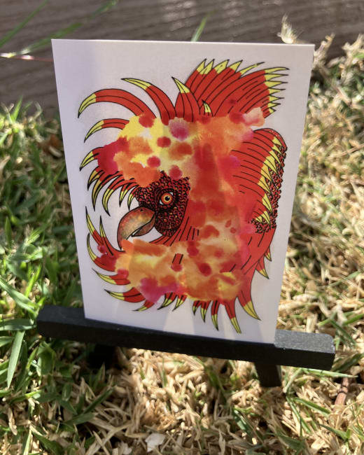 Phoenix, Print