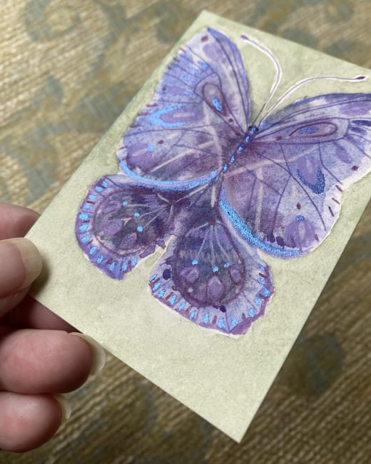 Violet Purple Butterfly