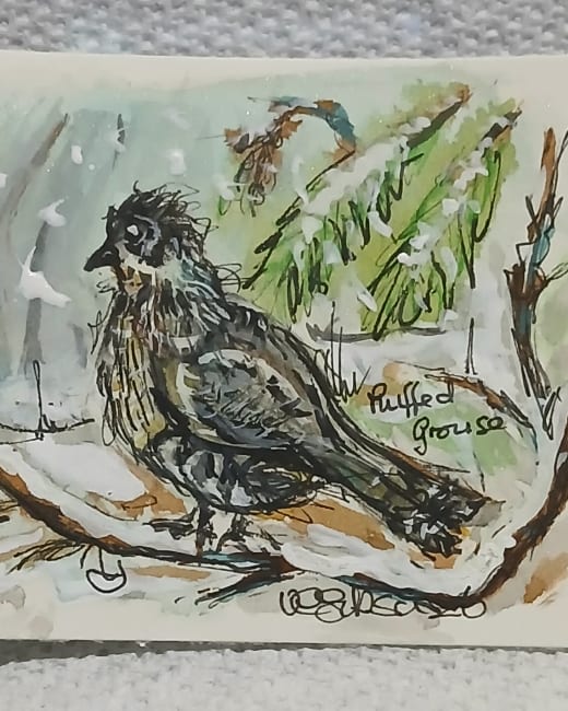 Ruffed Grouse in Winter