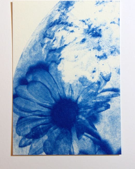 Moon Flower