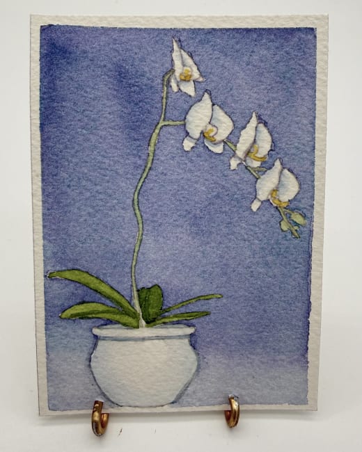 White Orchid
