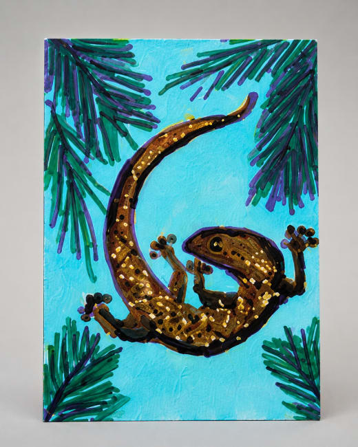 Original ACEO Gecko Salamander   by Wanda Fitzgerald