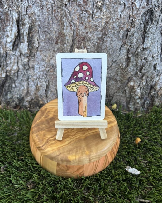 Emily the Mushroom
