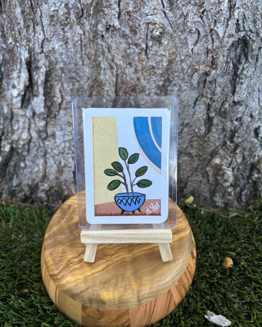 House Plant IV: Series I