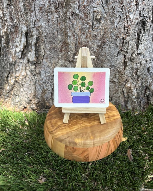 Paige the Pilea