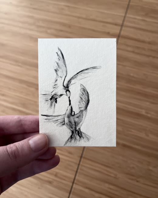Dance of the Birds