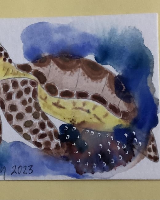 Honu or Seaturtle