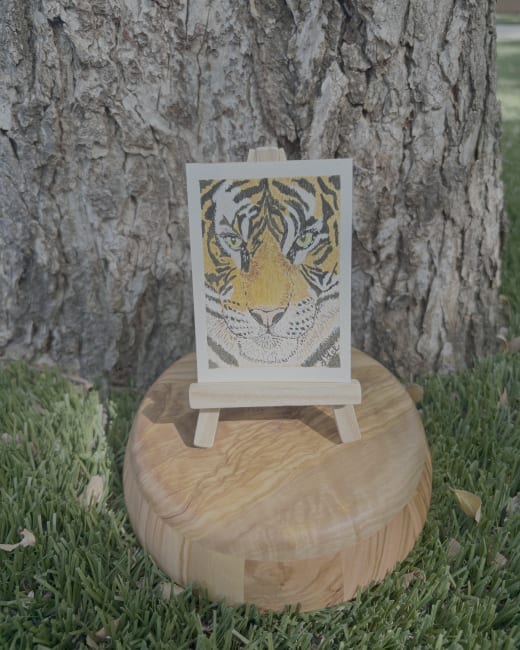 Terry the Tiger