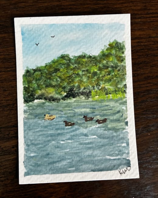 Ducks on the Delaware