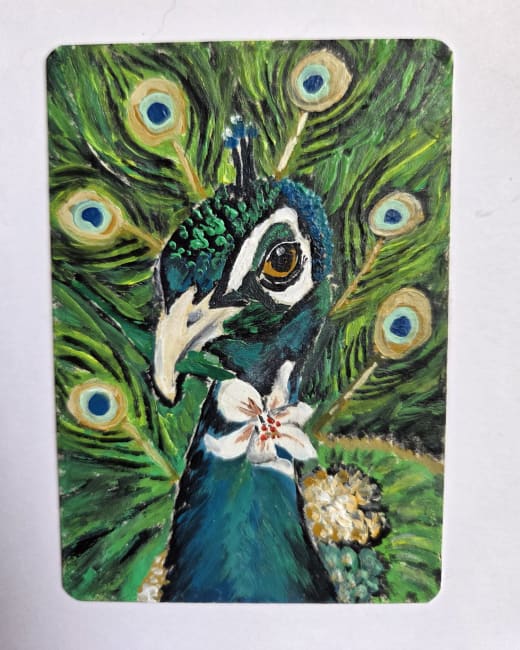 The Peacock and the Lily