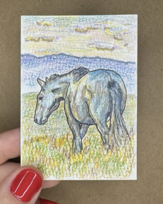 Mountain Mustang