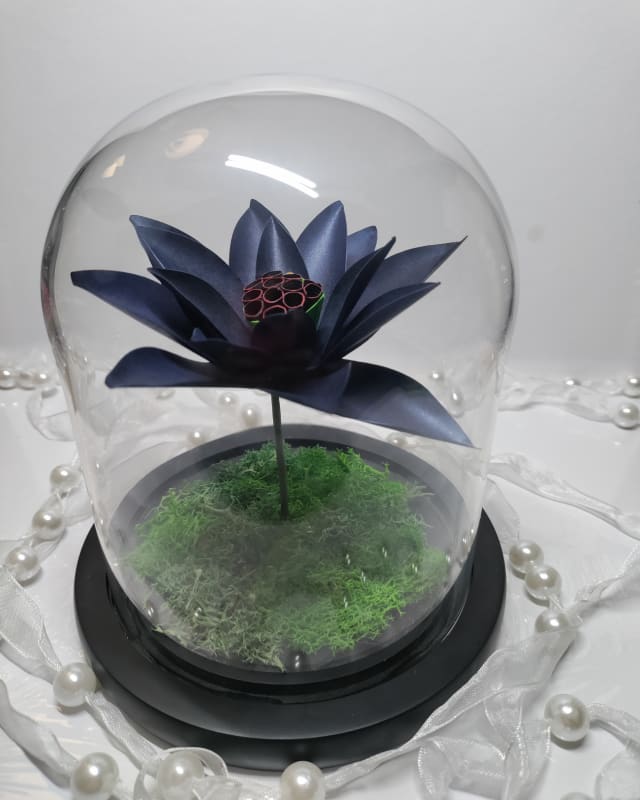 Black Lotus Flower by Marisa