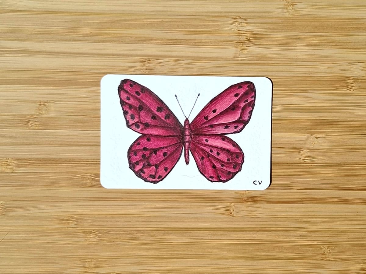 Pink Butterfly, Botanical ACEO by Chan_nl_art