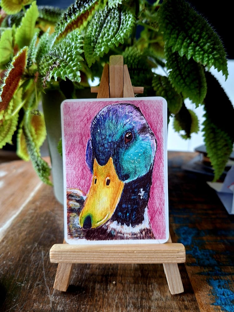 Cheeky ducky, Animals ACEO by Chan_nl_art