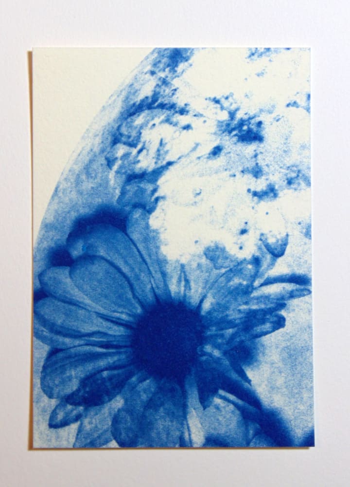 Moon Flower, Botanical ACEO by Sarah Witte