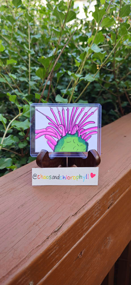 Blooming, Nature ACEO by Abigail Stevens
