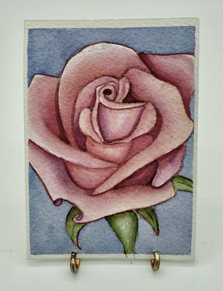 Pink Rose, Botanical ACEO by Brandi Kambalov