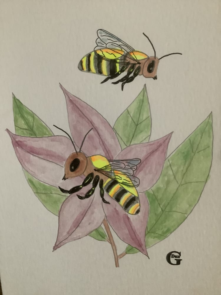 Bumblebee surprise by Daniel Goodwin