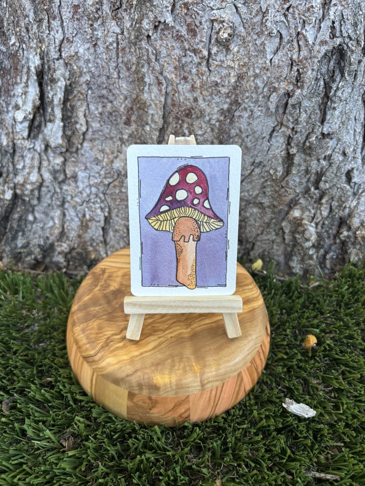 Emily the Mushroom, Nature ACEO by Stacy Lee