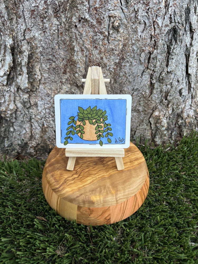 Penelope the Pearl, Botanical ACEO by Stacy Lee