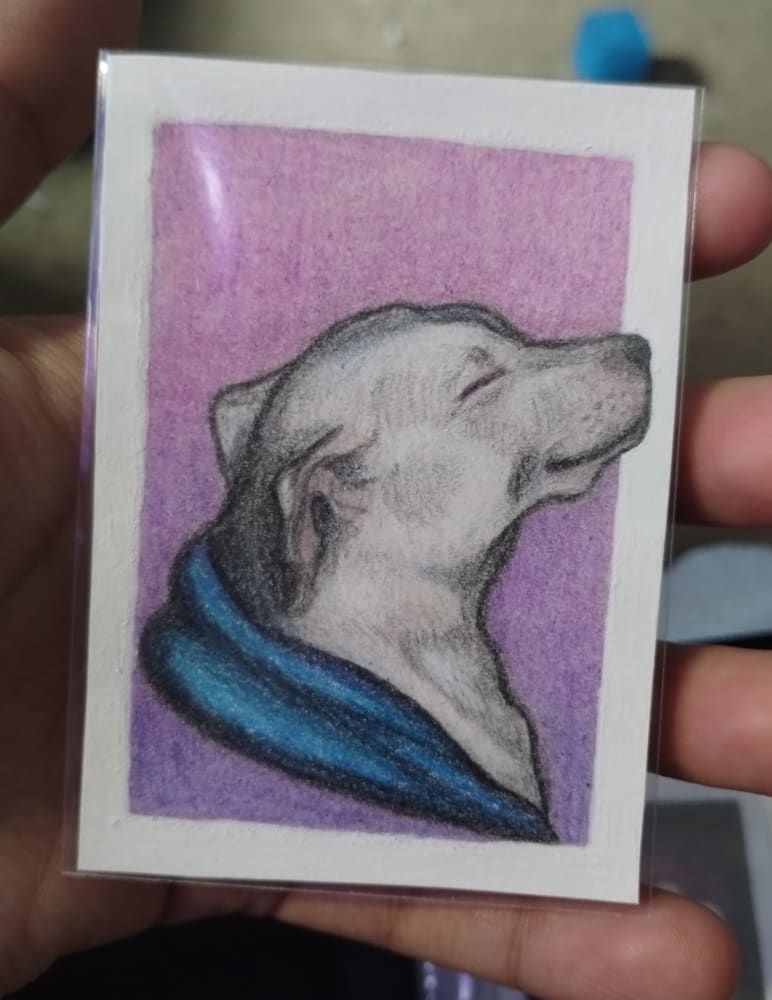 Klondike, Animals ACEO by MaxZamora