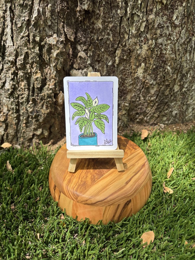 Dawn of Peace, Botanical ACEO by Stacy Lee