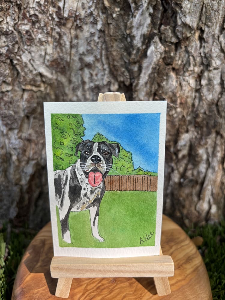 Otto, Animals ACEO by Stacy Lee