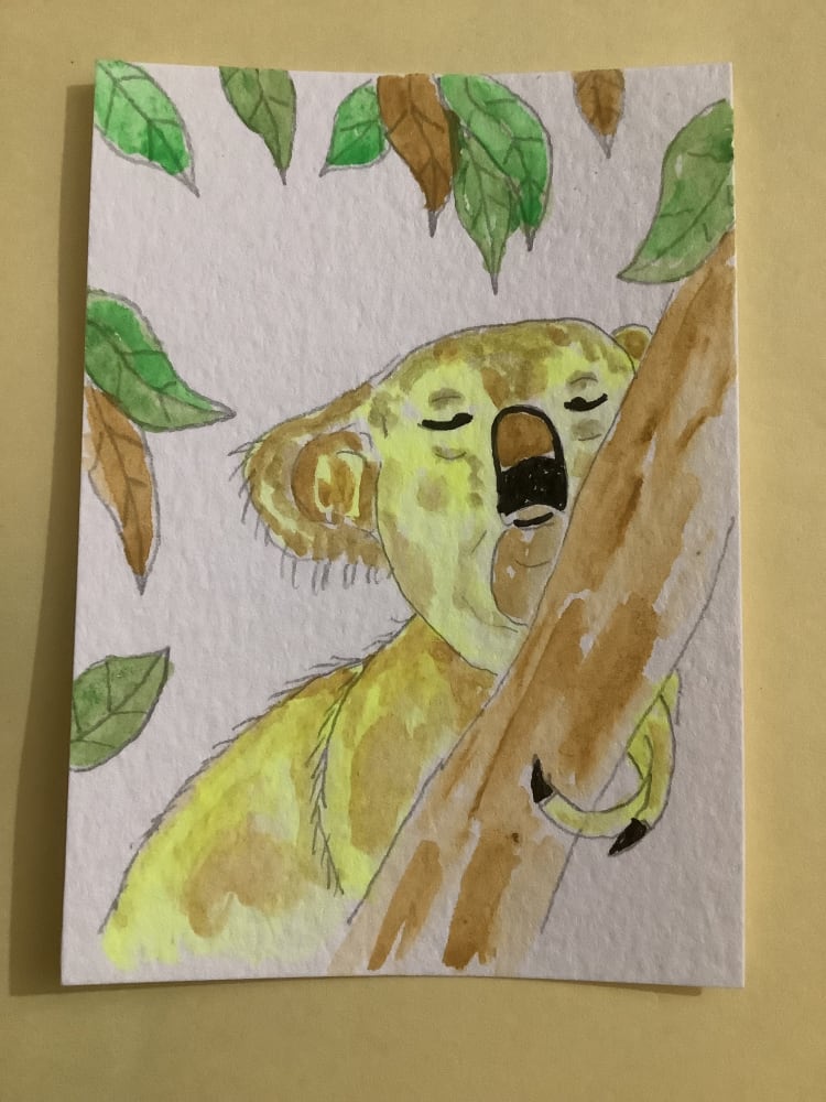 Koala, Animals ACEO by Daniel Goodwin