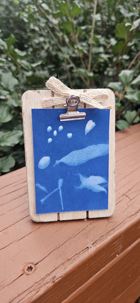 Seeded, Nature ACEO by Abigail Stevens