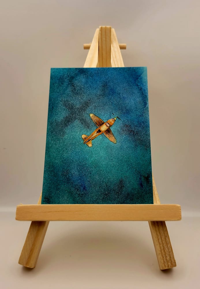 "Aerial Aircraft", Nature ACEO by D J Davis